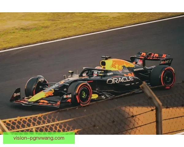 F1大奖赛历史回顾及未来展望