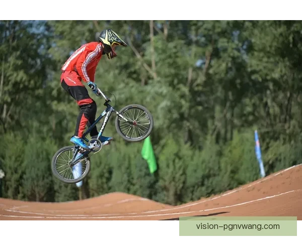 BMX数据分析：探索极限运动趋势及影响因素