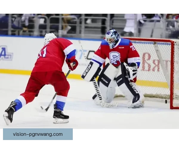 冰球世界故事：传奇时刻与辉煌记录