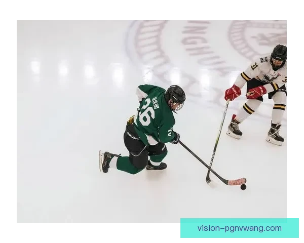 冰球高超技艺：打破常规，展现冰上精湛操作