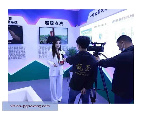 冲浪赛事预测：颠覆传统，数据科技引领新风潮