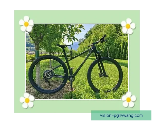 学习骑行技巧，轻松掌握自行车骑行技术