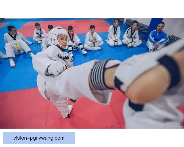 掌握跆拳道技巧，轻松学习的实用视频教程