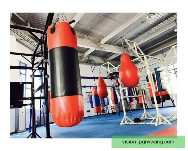 提升拳击实力的绝佳训练方法分享