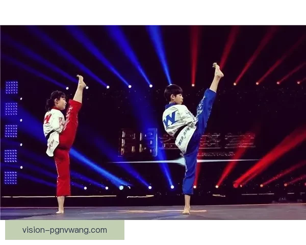 探索跆拳道数据：揭秘技术变化与比赛表现的关联