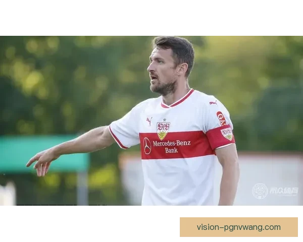 摔跤数据分析：揭秘选手战绩与技术对比，解读比赛胜负关键因素