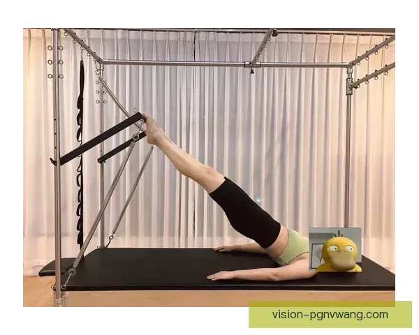 普拉提排名魅力榜:挑战极限,塑造完美身体 普拉提排名魅力榜:挑战极限,塑造完美身体