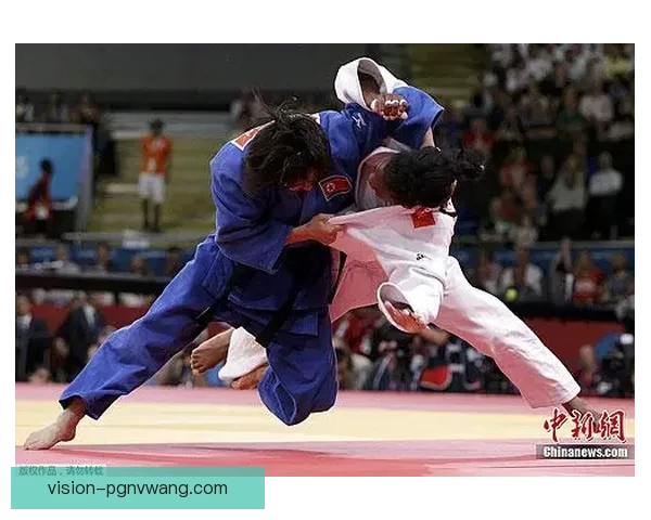 柔道联赛新风采：挑战与荣耀