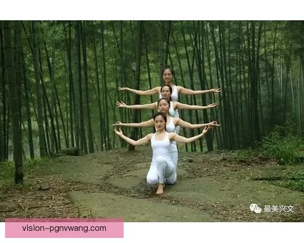 瑜伽公开赛：绽放身心灵的光芒