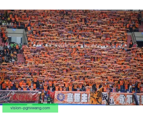 激情重燃！超越极限，畅快回放马拉松赛事精华