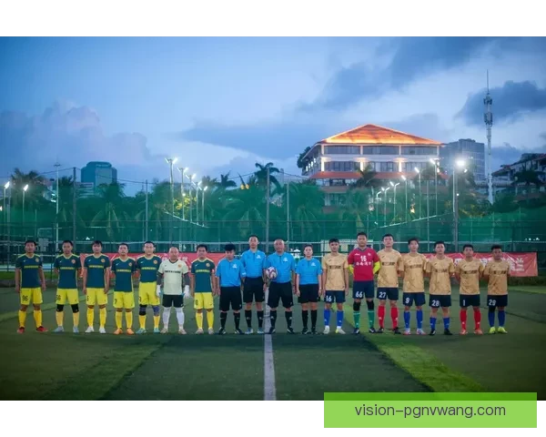 精彩瞬间，足球直播全方位解说