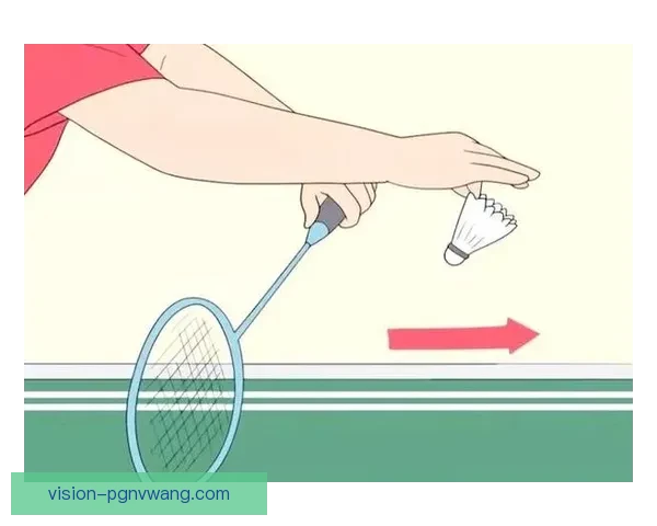 羽毛球高效训练指南及技巧