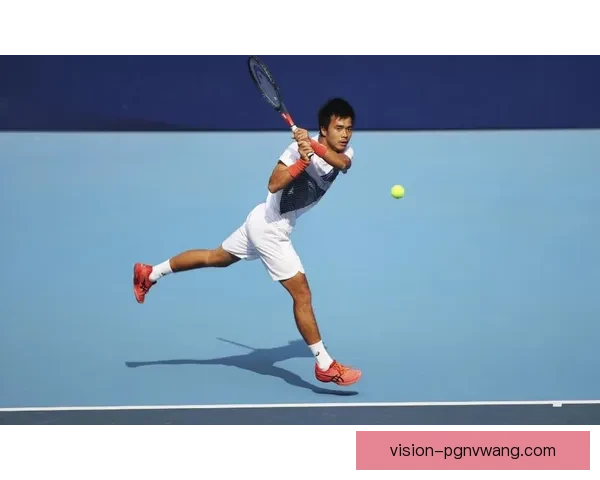 网球冠军:探寻背后的辉煌与坚毅 网球冠军:探寻背后的辉煌与坚毅