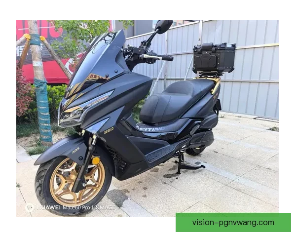 赛艇赛事风云：挑战激浪，冠军谁属？